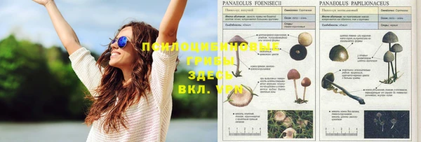 дурь Нефтегорск