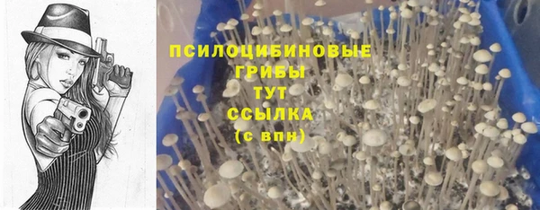 гидропоника Нея