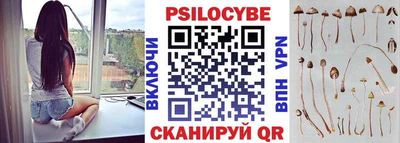 KRAKEN tor  Десногорск  Галлюциногенные грибы Psilocybe 