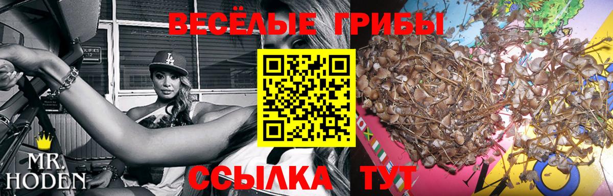 Псилоцибиновые грибы ЛСД  Десногорск 