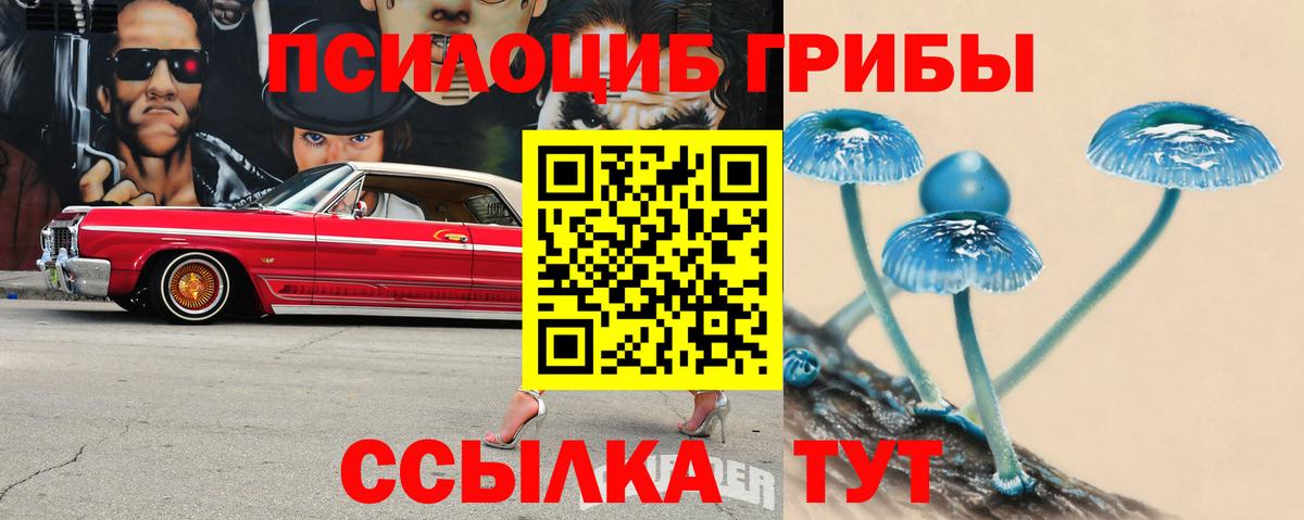 Десногорск  Псилоцибиновые грибы Magic Shrooms  Вход с VPN 